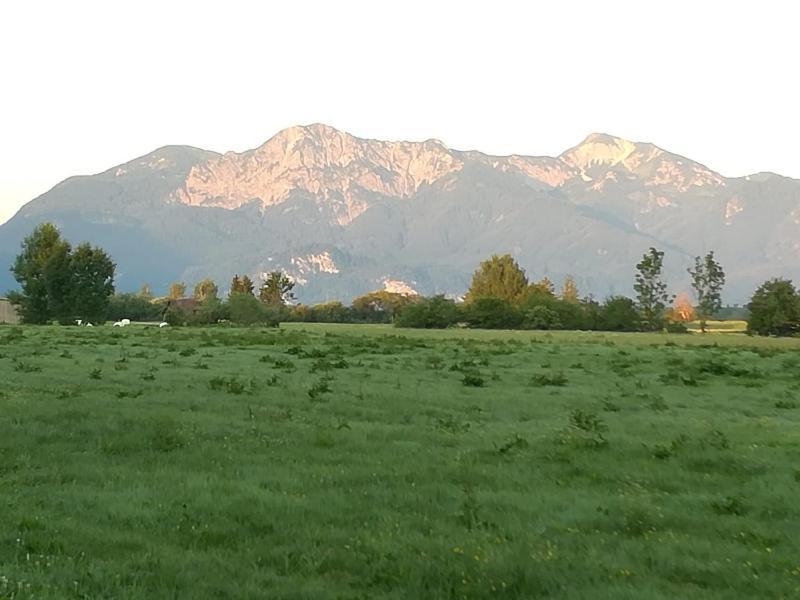 Apartment Moosblick Zwischen Bergen Und See Benediktbeuern Bagian luar foto