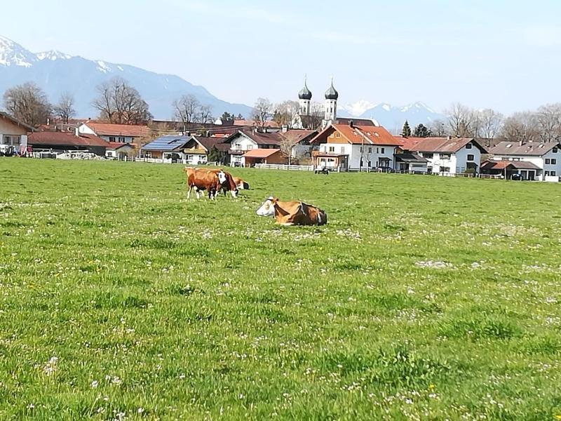 Apartment Moosblick Zwischen Bergen Und See Benediktbeuern Bagian luar foto